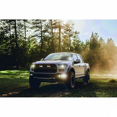 LED-модули Rigid D-Series PRO Specter, водительский свет