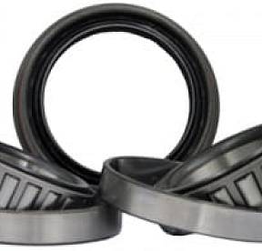 Комплект сальник подшипника заднего моста для  10.5" GM 14 болтов