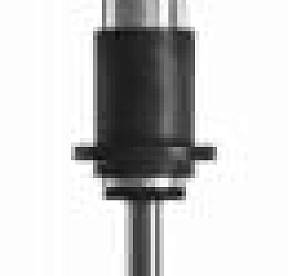 16" C/O 0.875" (Emul) 2.0 Series,W/-10 Heims, Black, "Custom Valving"